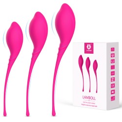 lamboll-kegel-vaginal-exerciser-kit.jpg