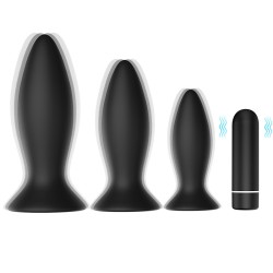 roar anal vibrator kit